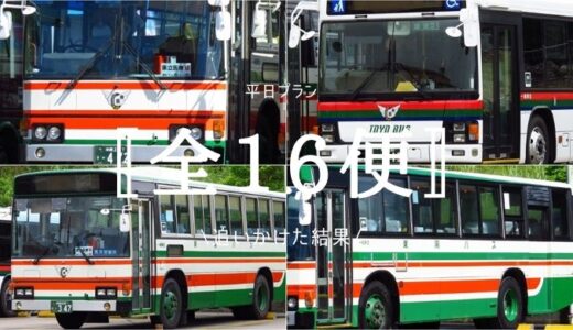 もと東武バスの【9791】が沖縄で再デビュー！運行時間帯＋191番の全16便の車両構成を調査