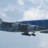 ANA初の試み｜沖縄に二階建ての【A380】が飛来！JA381A