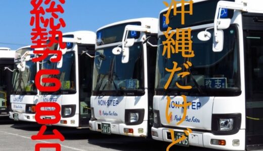 琉球バス＆那覇バスが所有する【68台】の【KV/LV290】を全車ご紹介！