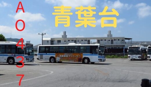 東京のバスが沖縄に