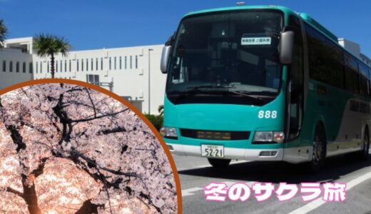 沖縄のバスお得情報